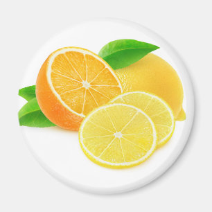 Orange und Zitrone Magnet