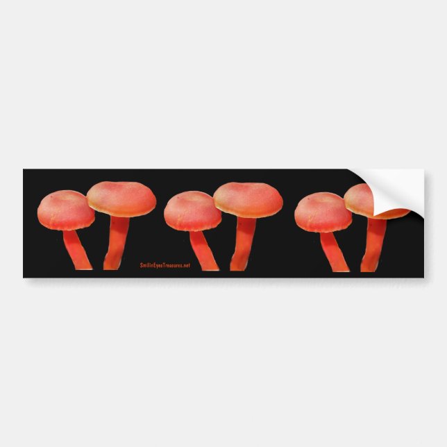 Orange vermehrt sich Natur-Foto-Autoaufkleber Autoaufkleber (Vorne)