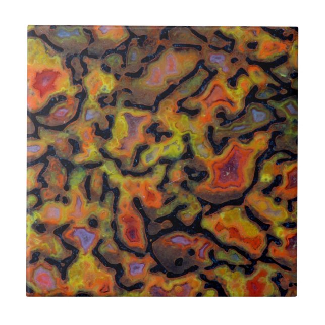 Orange-versteinerte Dinosaurier-Knochen Fliese (Vorderseite)