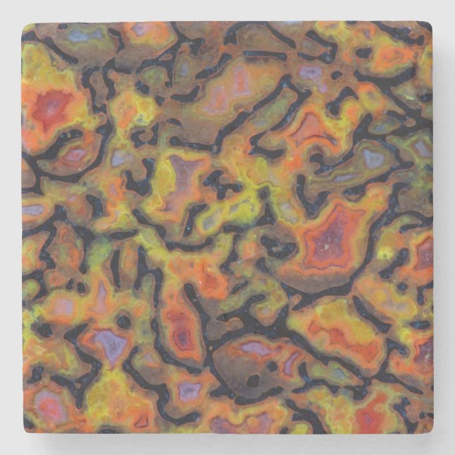 Orange-versteinerte Dinosaurier-Knochen Steinuntersetzer (Vorderseite)