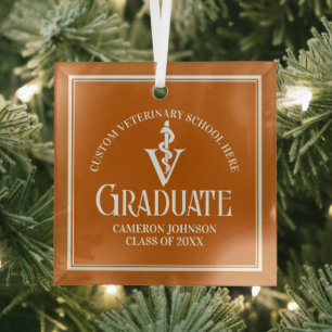 Orange Veterinary School Abschluss Weihnachten Ornament Aus Glas