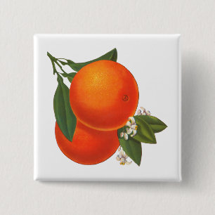 Orange Vintag Crate Art Button
