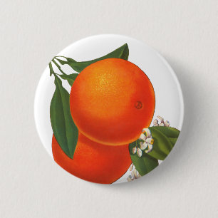 Orange Vintag Crate Art Button