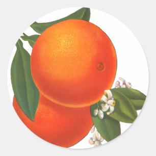 Orange Vintag Crate Art Template Runder Aufkleber