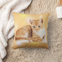 Orange weiße Tablette Katzenwirbel Kissen Kissen