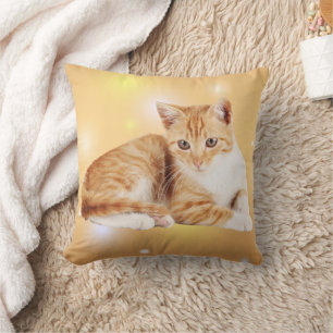 Orange weiße Tablette Katzenwirbel Kissen Kissen