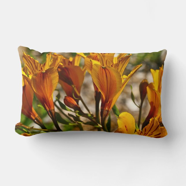 ORANGE WILDE FRÜHLINGS-BLUMEN LENDENKISSEN (Vorderseite)