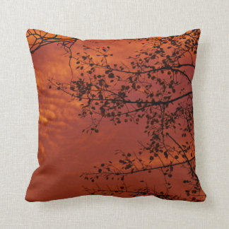 orange Wurfskissen mit asiatischem Aroma Kissen