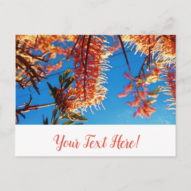 Orange Yellow Flowers Tree Sky Postcard Postkarte (Vorderseite)