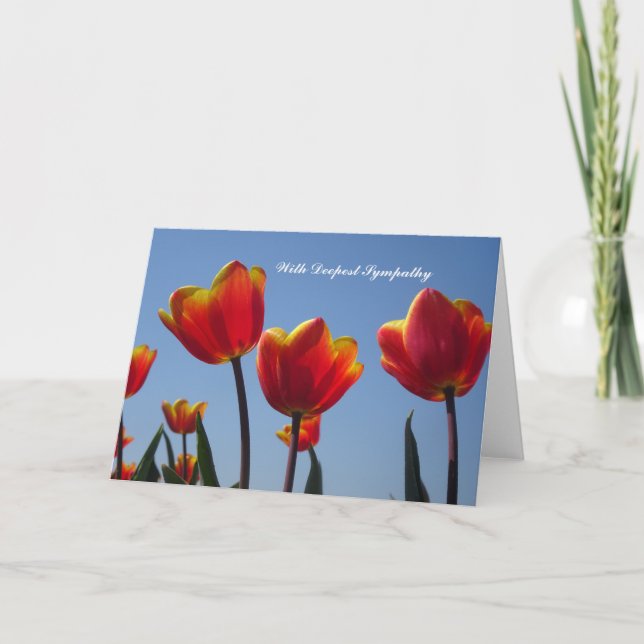 Orange Yellow Tulips Sympathiekarte Karte (Vorderseite)