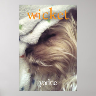 Orange Yorkie Name & Foto Poster