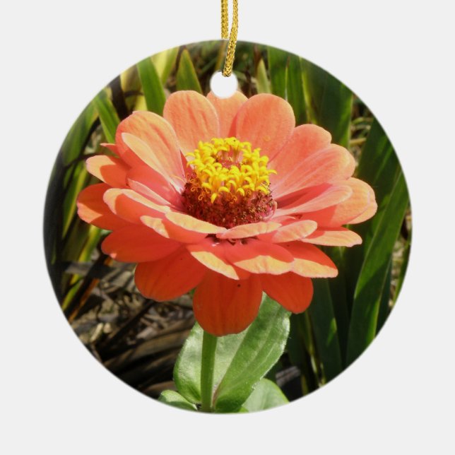 Orange Zinnia Blume Custom Geburtstag Keramikornament (Vorne)