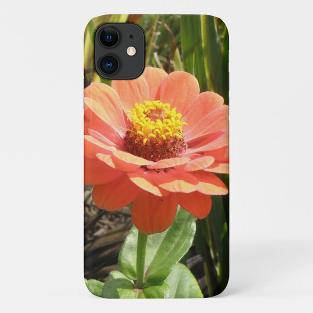 Orange Zinnia Blume iPhone 3 Fall Case-Mate iPhone Hülle (Rückseite)