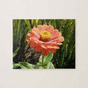 Orange Zinnia Blume Puzzle