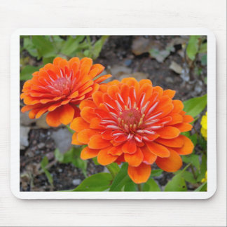 Orange Zinnia-Blumen Mousepad