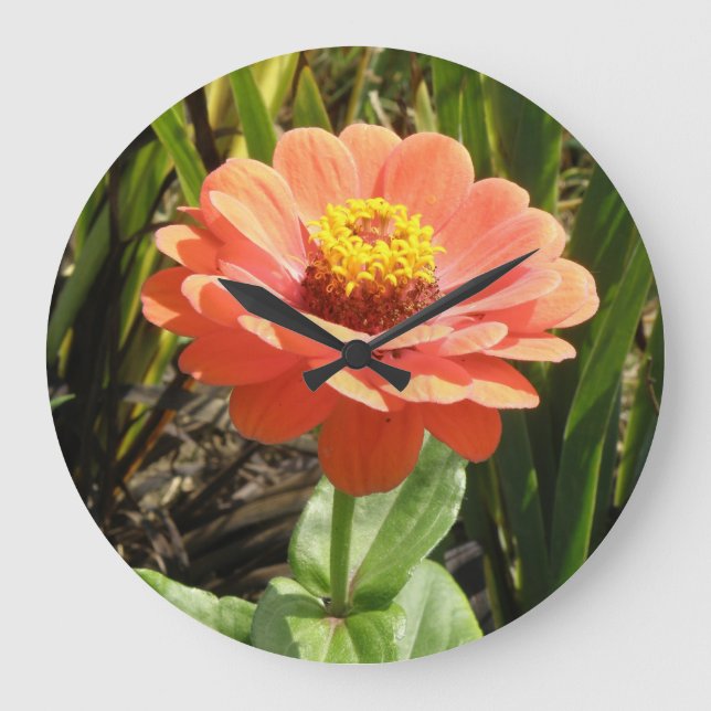 Orange Zinnia Flower Wall Clock Große Wanduhr (Vorderseite)