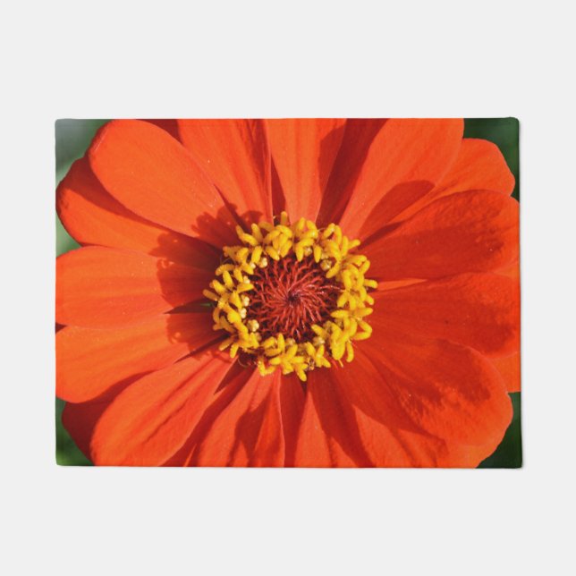 Orange Zinnia Fußmatte (Vorderseite)