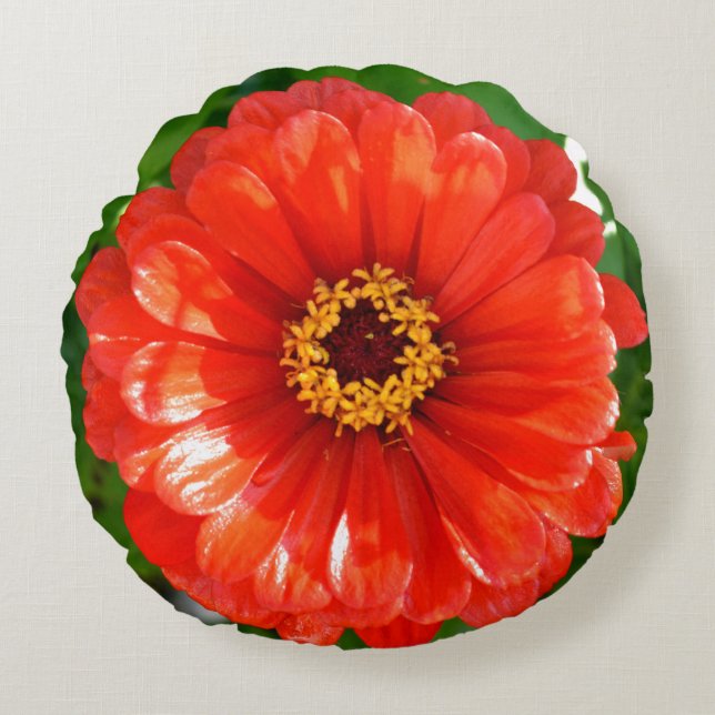 Orange Zinnia Rundes Kissen (Vorderseite)