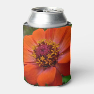 Orange Zinnia Wildblume Natur Blumen Dosenkühler