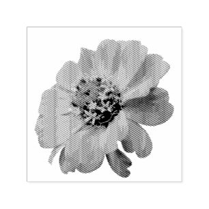 Orange Zinnia Wildblume Natur Blumen Permastempel