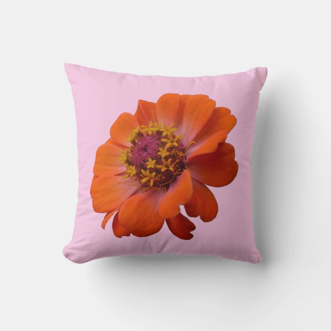 Orange Zinnia Wildblume Natur Flora Kissen (Vorderseite)