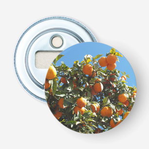 Orange, Zitrusfrüchte, frische Früchte, Scheiben,  Flaschenöffner