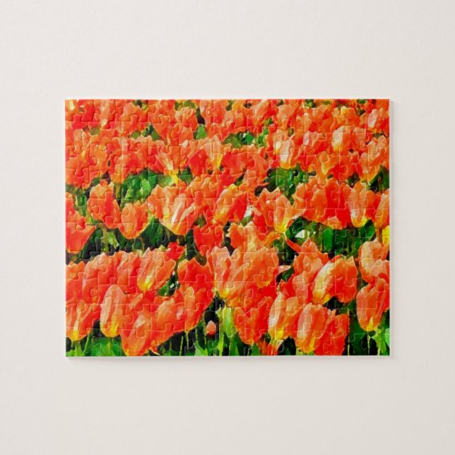 Orangefächer für Tulpen (Horizontal)