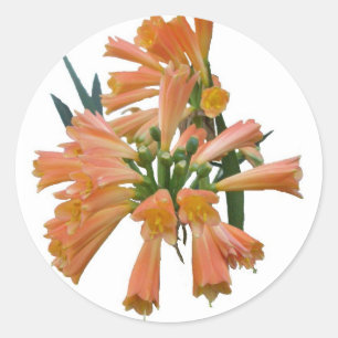 Orangefarbene Aufkleber für tropische Blume