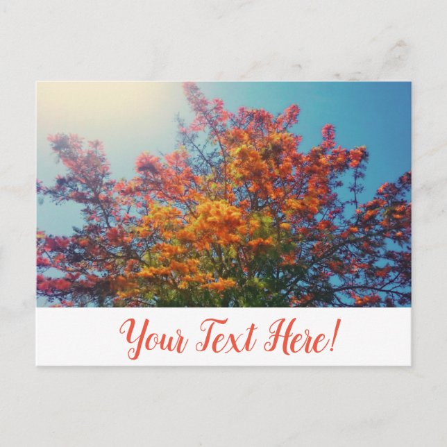 Orangefarbene Blätter Herbstbaum Postkarte (Vorderseite)