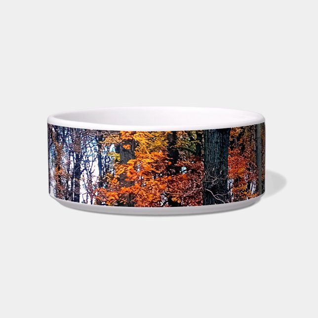 Orangefarbene Blätter im Wald Napf (Vorderseite)