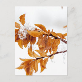 Orangefarbene Blätter im Winter Postkarte