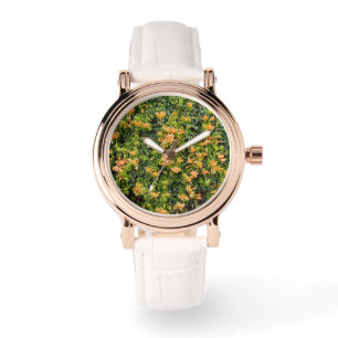 Orangefarbene Blume an einer Mauer, Armbanduhr