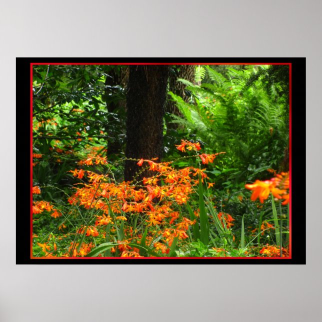 Orangefarbene Blume im Wald Poster (Vorne)