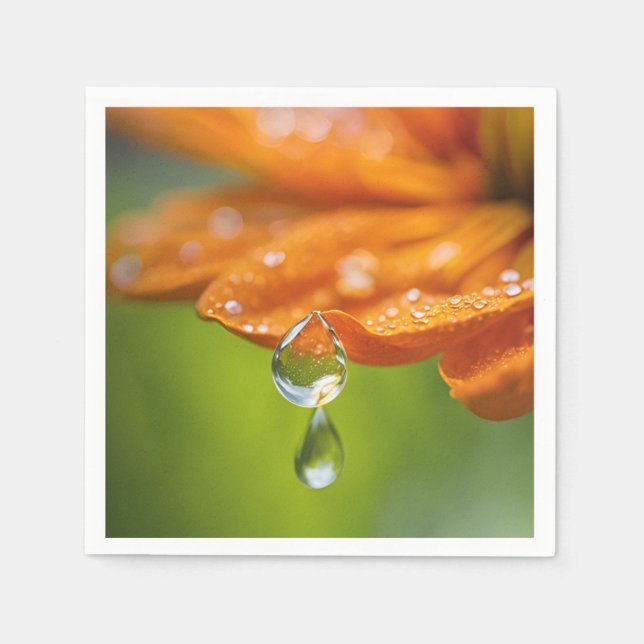 Orangefarbene Blume mit Taubentropfen Hintergrund  Serviette (Vorderseite)
