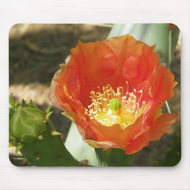 Orangefarbene Blume Mousepad (Vorne)