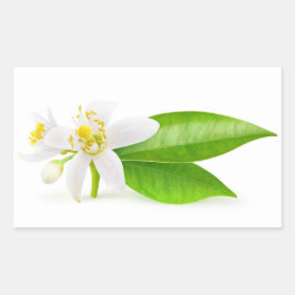 Orangefarbene Blume Rechteckiger Aufkleber