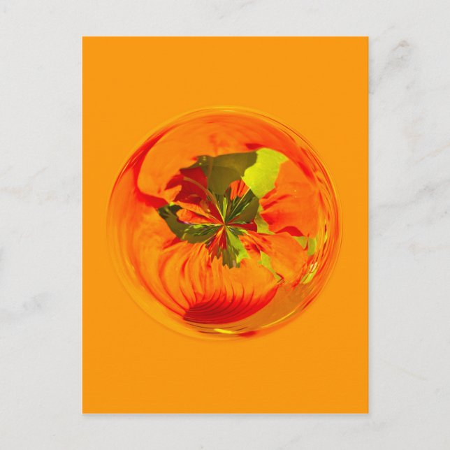 Orangefarbene Blume weltweit Postkarte (Vorderseite)