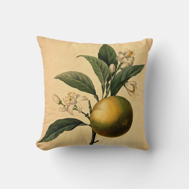 Orangefarbene botanische Illustration Kissen (Vorderseite)