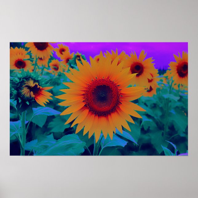 Orangefarbene, grüne und Lila Herbstblume Poster (Vorne)