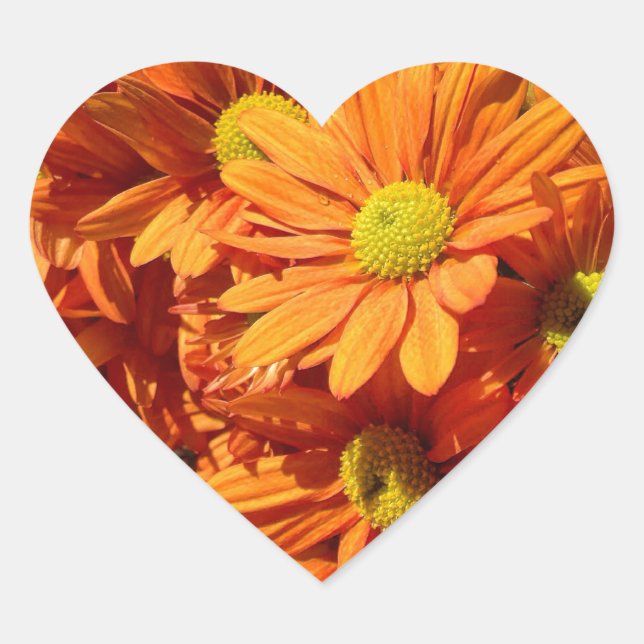 Orangefarbene Herzkleber Herz-Aufkleber (Vorderseite)