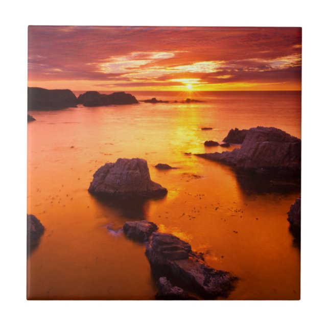 Orangefarbene Jahreszeit, Sonnenuntergang, Kalifor Fliese (Vorderseite)