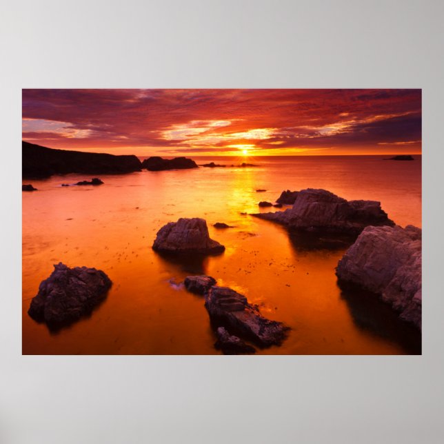 Orangefarbene Jahreszeit, Sonnenuntergang, Kalifor Poster (Vorne)