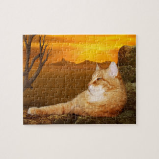 Orangefarbene Katze