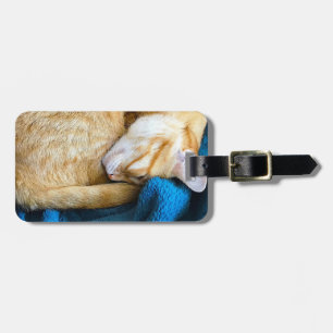 Orangefarbene Katze auf Decke aufgerollt Gepäckanhänger