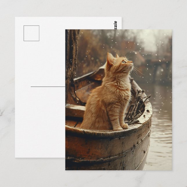 Orangefarbene Katze auf einem Holzboot Postkarte (Vorne/Hinten)