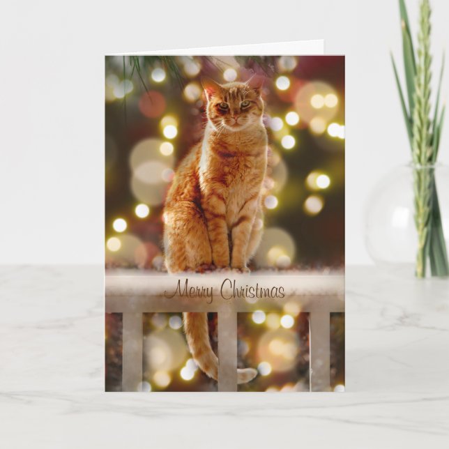 Orangefarbene Katze auf einem Zaun mit Weihnachtsb Karte (Vorderseite)