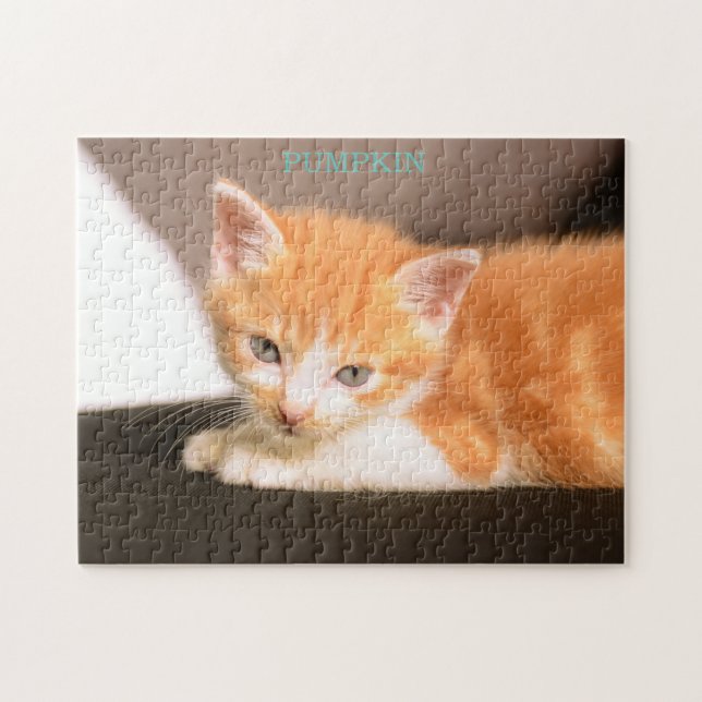 Orangefarbene Katze auf schwarzottoman/Orange Kitt (Horizontal)