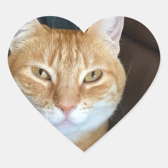 Orangefarbene Katze Herz-Aufkleber (Vorderseite)
