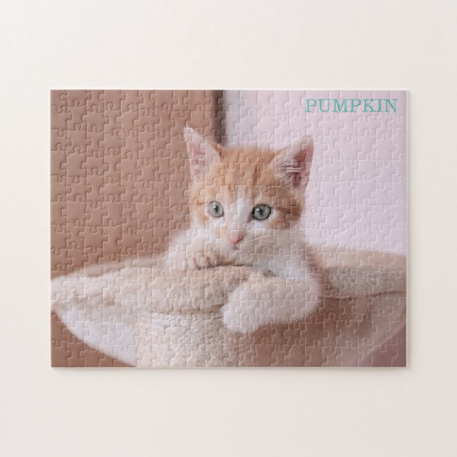 Orangefarbene Katze in Katzenbaum /Orange Kitten (Horizontal)