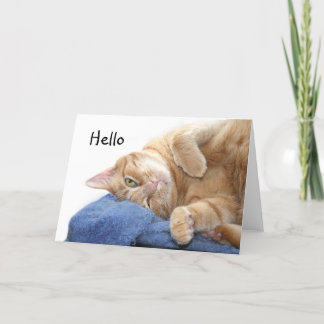 Orangefarbene Katze Karte